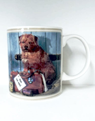 Kitchy & Co Vet On Call Mug