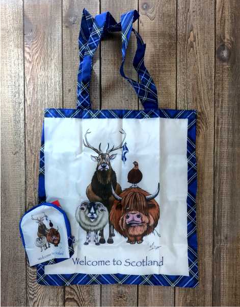 Amazon.com: MacGregor Modern Clan Scotland Red Plaid Scottish Tartan Tote  Bag : Clothing, Shoes & Jewelry